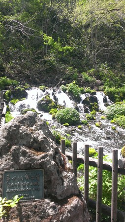 IMAG0479