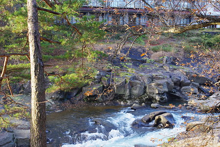 IMGP0744