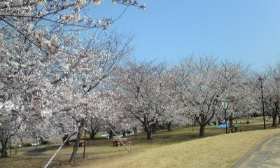 Image015