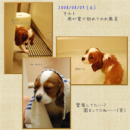 タルトのお風呂