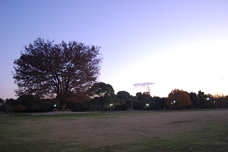 夕方