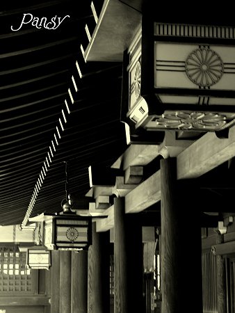 明治神宮にて・・4