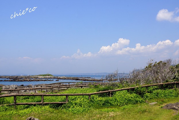天神島臨海自然教育園-019