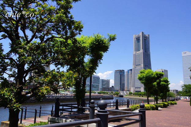 Yokohama-018