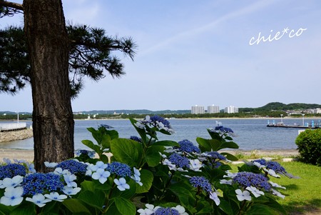 八景島-035