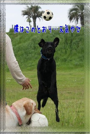 元気