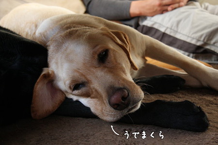 腕まくら