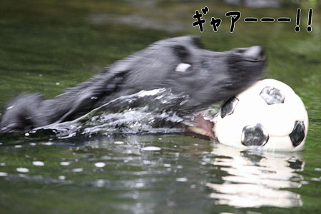ギャアー!!
