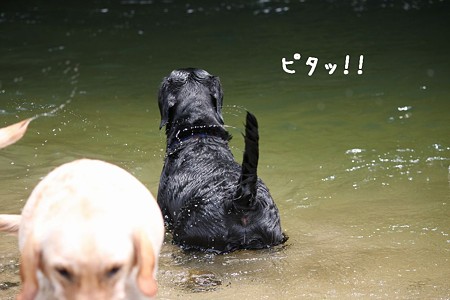 立ち止まる