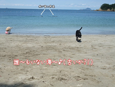 誰~も居ない海~♪
