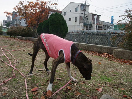 散歩