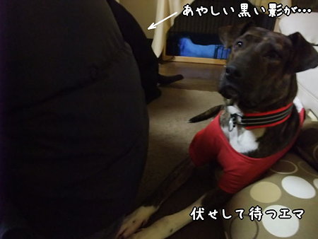 あやしい影