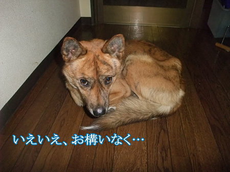お構いなく