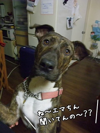 聞いてる??