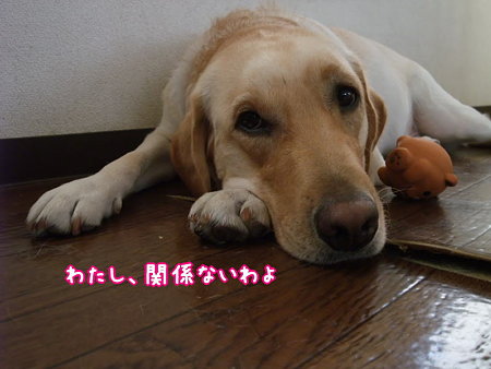 関係ない
