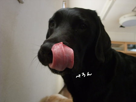 またペロン