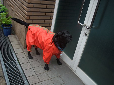 早よ入れろ!