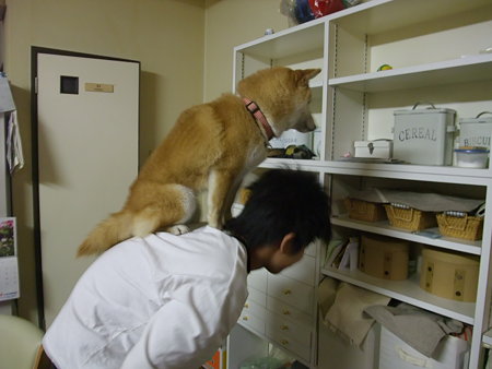おんぶ好きの夢ちゃん