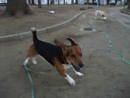わーい♪
