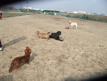 貸切ラン