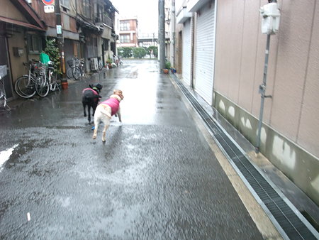 わー早く帰る~~~