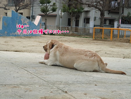 落ち込んでる…