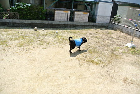 庭、広~~~!!!