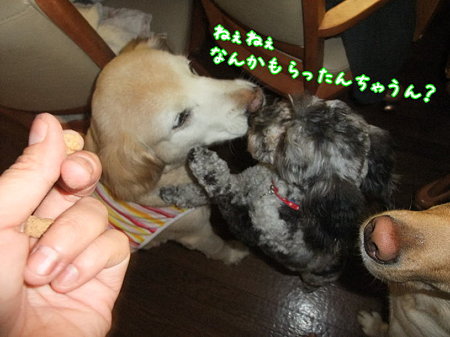 なにもらったん?