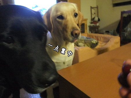 一点集中