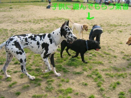 画像 1637