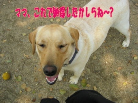 タッキーと9