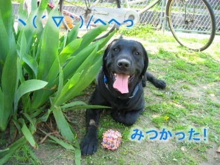 画像 1578 Web 表示用 (中)