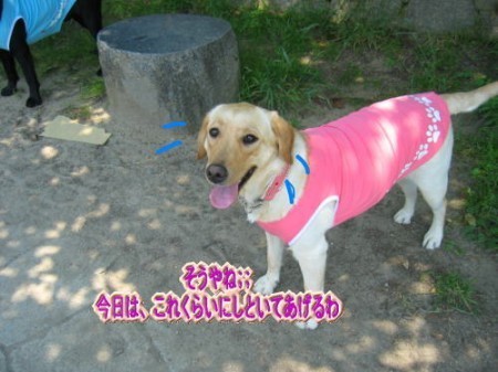 土手