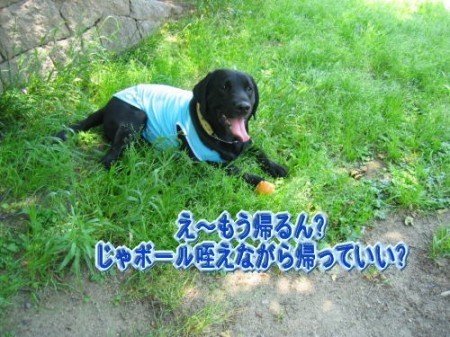 土手11