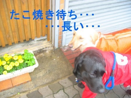 画像 2002