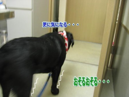 病院9