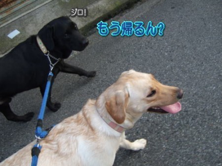 8-7散歩6