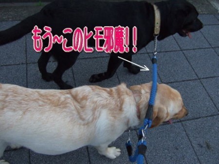8-7散歩8