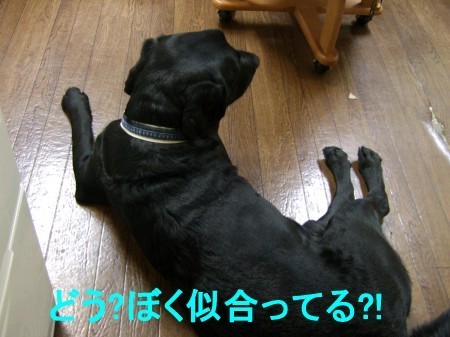 DSCF0638