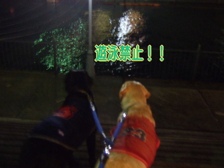 マリーナ15