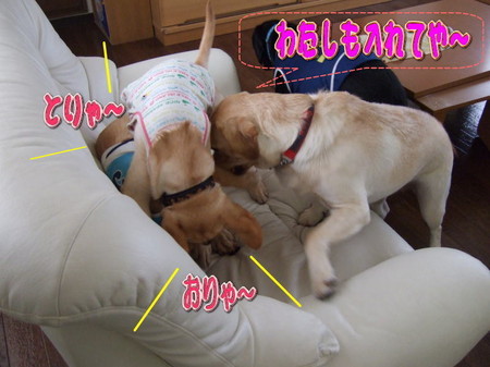wans5