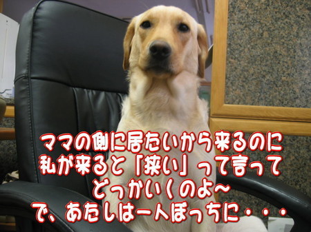 紫音3