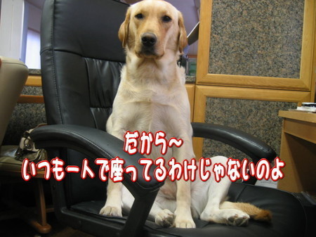 紫音4