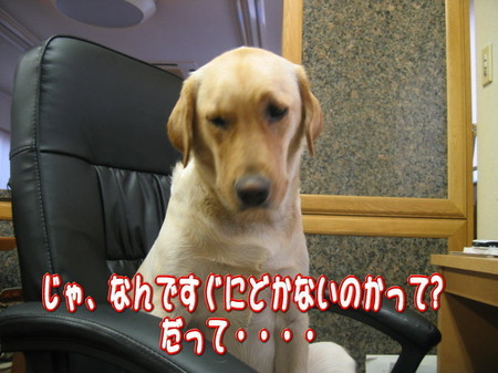 紫音5