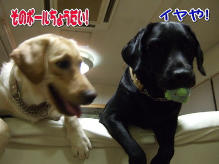 とりあい