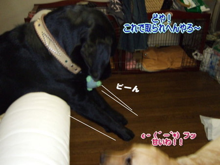 取り合い2