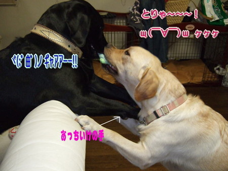 取り合い3