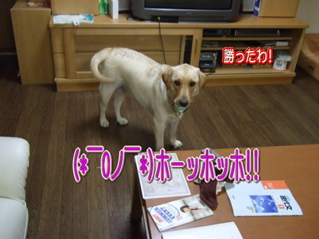 取り合い