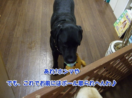 gotenーsion