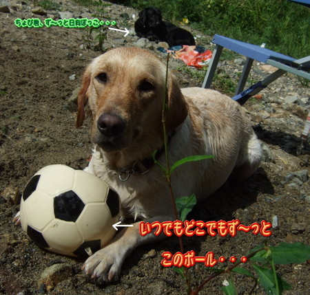 川遊び ちょっと休憩